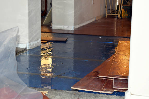 Professional Water Damage technician working in Highland Park, NJ