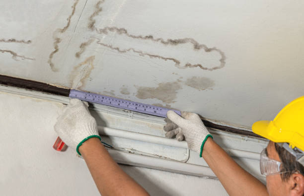 Reliable Water Damage contractor in Highland Park, NJ by Water Damage Irwin
